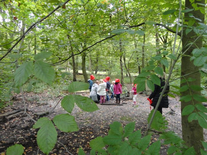 P kleuters in het herfstbos